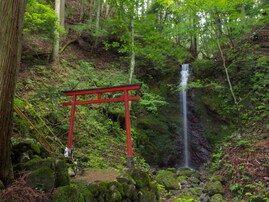 滋賀県で「夏に行きたい滝」ランキング！ 2位「青龍の滝」、1位は？【2025年調査】