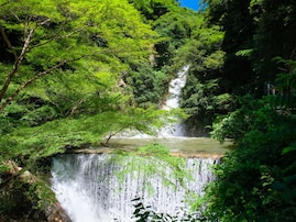 三重県で「夏に行きたい滝」ランキング！ 2位「布引の滝」、1位は？【2025年調査】
