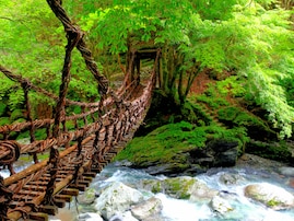 好き＆行ってみたい「徳島県の森林浴スポット」ランキング！ 「轟九十九滝」「祖谷のかずら橋」を抑えた1位は？【2025年調査】