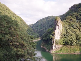 好き＆行ってみたい「山口県の森林浴スポット」ランキング！ 2位「長門峡」を抑えた1位は？【2025年調査】