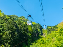 好き＆行ってみたい「愛媛県の森林浴スポット」ランキング！ 2位「石鎚山」を抑えた1位は？【2025年調査】