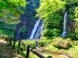 大分県で「夏に行きたい滝」ランキング！ 2位「白水の滝」を大差で抑えた1位は？【2025年調査】