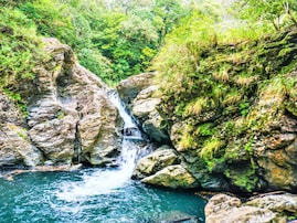 沖縄県で「夏に行きたい滝」ランキング！ 「タナガーグムイ」を3票差で抑えた1位は？【2025年調査】