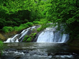 岩手県で「夏に行きたい滝」ランキング！ 2位「釜淵の滝」を抑えた、圧倒的1位は？【2025年調査】