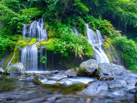 山梨県で「夏に行きたい滝」ランキング！ 2位「吐竜の滝」を抑えた、堂々の1位は？【2025年調査】