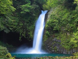 静岡県で「夏に行きたい滝」ランキング！ 「浄蓮の滝」を大差で抑えた1位は？【2025年調査】