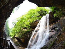 長野県で「夏に行きたい滝」ランキング！ 2位「雷滝」、11票差の1位は？【2025年調査】