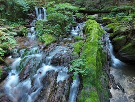 福井県で「夏に行きたい滝」ランキング！ 2位「瓜割の滝」を抑えた、圧倒的1位は？【2025年調査】