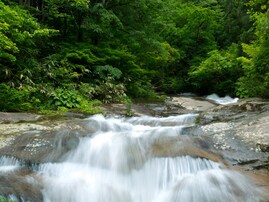 富山県で「夏に行きたい滝」ランキング！ 「龍神の滝」を倍以上の票数で抑えた1位は？【2025年調査】