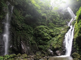 徳島県で「夏に行きたい滝」ランキング！ 2位「雨乞いの滝」、1位は？【2025年調査】