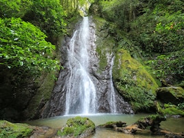 愛媛県で「夏に行きたい滝」ランキング！ 2位「紅葉ヶ滝」、1位は？【2025年調査】
