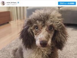 桐谷美玲、新たな家族を紹介！ 大政絢「早く会いたい」切望。「すくすく育ってるからbabyのうちに会ってー」