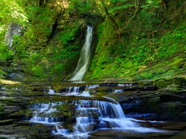 森林浴の森百選で行ってみたい「東海の森林浴スポット」ランキング！ 2位「赤目四十八滝」、1位は？