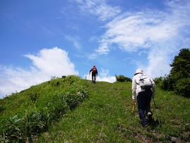 森林浴の森百選で行ってみたい「中国・四国の森」ランキング！ 「岡山県立森林公園」を抑えた1位は？