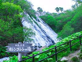 日本百名滝の中で行ってみたい「北海道・東北の滝」ランキング！ 2位「オシンコシンの滝」、1位は？