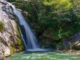 日本百名滝の中で行ってみたい「九州・沖縄の滝」ランキング！ 2位「観音の滝」、1位は？【2025調査】