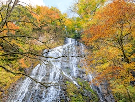 日本百名滝の中で行ってみたい「北信越地方の滝」ランキング！ 2位「龍双ヶ滝」、1位は？【2025調査】