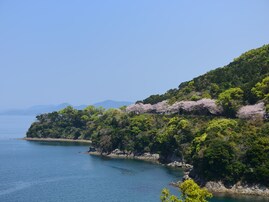 名湯百選で行ってみたい「熊本県の温泉」ランキング！ 「垂玉温泉」「湯の児温泉」を抑えた1位は？