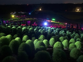 好き＆行ってみたい「茨城県のお月見スポット」ランキング！ 2位「ひたち海浜公園」、1位は？