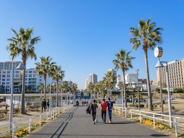 千葉県民が選んだ「住み続けたい自治体」ランキング！ 2位「浦安市」、1位は？【2025年最新】