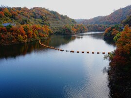 好き＆行ってみたい「鳥取県のダム」ランキング！ 2位「朝鍋ダム」、4票差の1位は？【2025年調査】