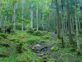 好き＆行ってみたい「広島県のダム」ランキング！ 「飯ノ山ダム」を大差で抑えた1位は？【2025年調査】