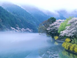 好き＆行ってみたい「徳島県のダム」ランキング！2位「川口ダム」を抑えた1位は？【2025年調査】