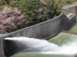 好き＆行ってみたい「愛媛県のダム」ランキング！ 2位「野村ダム」、6票差の1位は？【2025年調査】