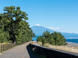 好き＆行ってみたい「静岡県のお月見スポット」ランキング！ 2位「三保松原」、1位は？【2025年調査】