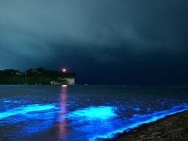 好き＆行ってみたい「富山県のお月見スポット」ランキング！ 2位「氷見海岸」、1位は？【2025年調査】