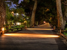 好き＆行ってみたい「静岡県のお月見スポット」ランキング！ 2位「三保松原」、1位は？【2025年調査】