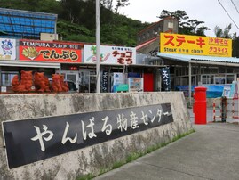 旅の目的地にしたいと思う「沖縄県の道の駅」ランキング！ 2位「許田」、1位は？【2025年調査】