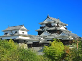 「ナンバープレートにしたい」と思う愛媛県の地名ランキング！ 2位「松山市」を抑えた1位は？【2025年調査】