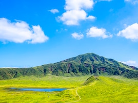 「ナンバープレートにしたい」と思う熊本県の地名ランキング！ 2位「阿蘇市」を抑えた1位は？【2025年調査】