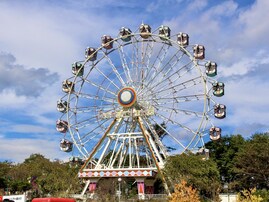 宮城県民が選んだ「住みたい自治体」ランキング！ 2位「仙台市太白区」、1位は？【2025年調査】