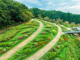 コスモスなど15万本の秋の花が彩る「夕焼け色の丘」へ！ 横浜・里山ガーデンフェスタの見どころ