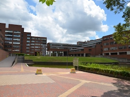 東日本出身者に聞いた「学校の先生に望む出身大学」ランキング！ 同率2位「筑波大学」「早稲田大学」を抑えた1位は？【2025年調査】