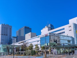 子育てしやすいと思う神奈川県の市町村ランキング！ 「川崎市」を抑えた圧倒的1位は？【2025年最新】