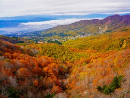 好き・行ってみたい「宮城県の紅葉スポット」ランキング！ 2位「蔵王」、2票差の1位は？【2025年調査】