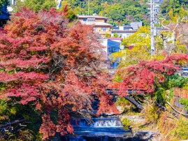 秋に行きたい「神奈川県の温泉地」ランキング！ 「湯河原温泉」を大差で抑えた1位は？【2025年調査】