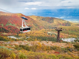 「ナンバープレートでお金持ちだと思う栃木県の地名」ランキング！ 2位「那須」を抑えた1位は？【2025年調査】