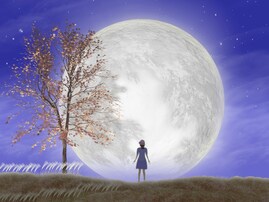 10月6日に実践したい！ 2026年の金運を呼ぶ「十五夜アクション」5選