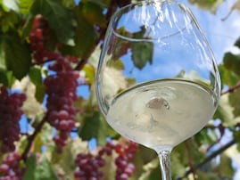 グルメも楽しめる「山梨県（富士五湖・甲府・山梨）の温泉地」ランキング！ 2位「石和温泉」、1位は？