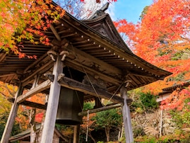 秋に行きたいと思う「三重県の道の駅」ランキング！ 2位「飯高駅」、1位は？【2025年調査】