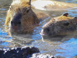 泉質がいいと思う「静岡県（伊豆・熱海・東伊豆エリア）の温泉地」ランキング！ 2位「伊東温泉」、1位は？