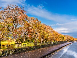 秋に行きたいと思う「福岡県の道の駅」ランキング！ 2位「くるめ」を抑えた1位は？ 【2025年調査】