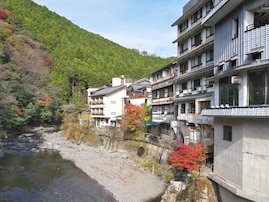 泉質がいいと思う「和歌山県（南紀・熊野・白浜エリア）の温泉地」ランキング！ 2位「龍神温泉」、1位は？