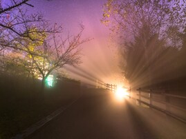 遠方からでも行きたいと思う「奈良県の道の駅」ランキング！ 2位「吉野路 大塔（五條市）」、1位は？ 【2025年調査】