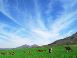 遠方からでも行きたいと思う「岡山県の道の駅」ランキング！ 2位「蒜山高原（真庭市）」を抑えた1位は？【2025年調査】