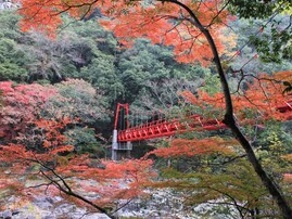 遠方からでも行きたいと思う「山口県の道の駅」ランキング！ 2位「長門峡（山口市）」を抑えた1位は？【2025年調査】
